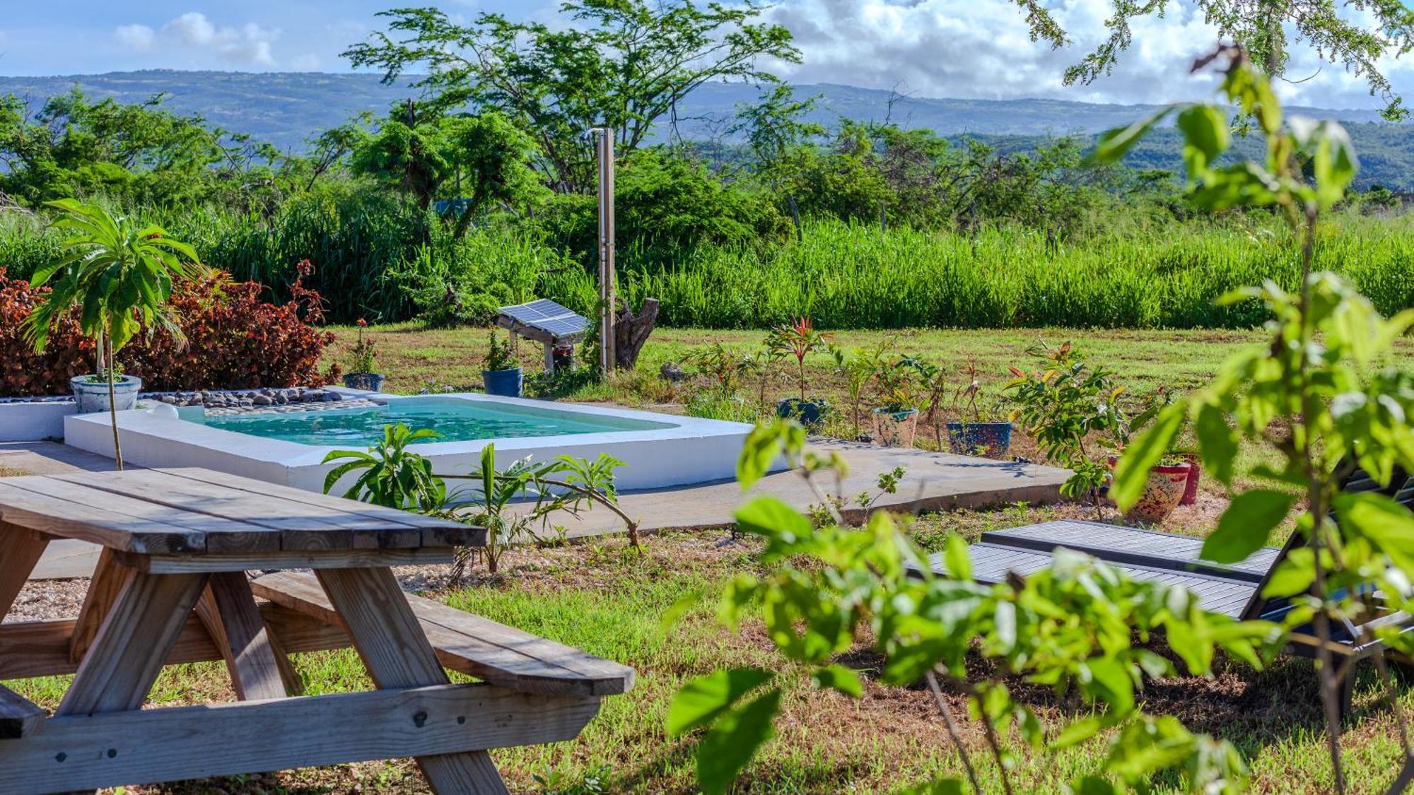 Cashaw Cabin - Private Retreat With A Pool เทรเชอร์ บีช ภายนอก รูปภาพ